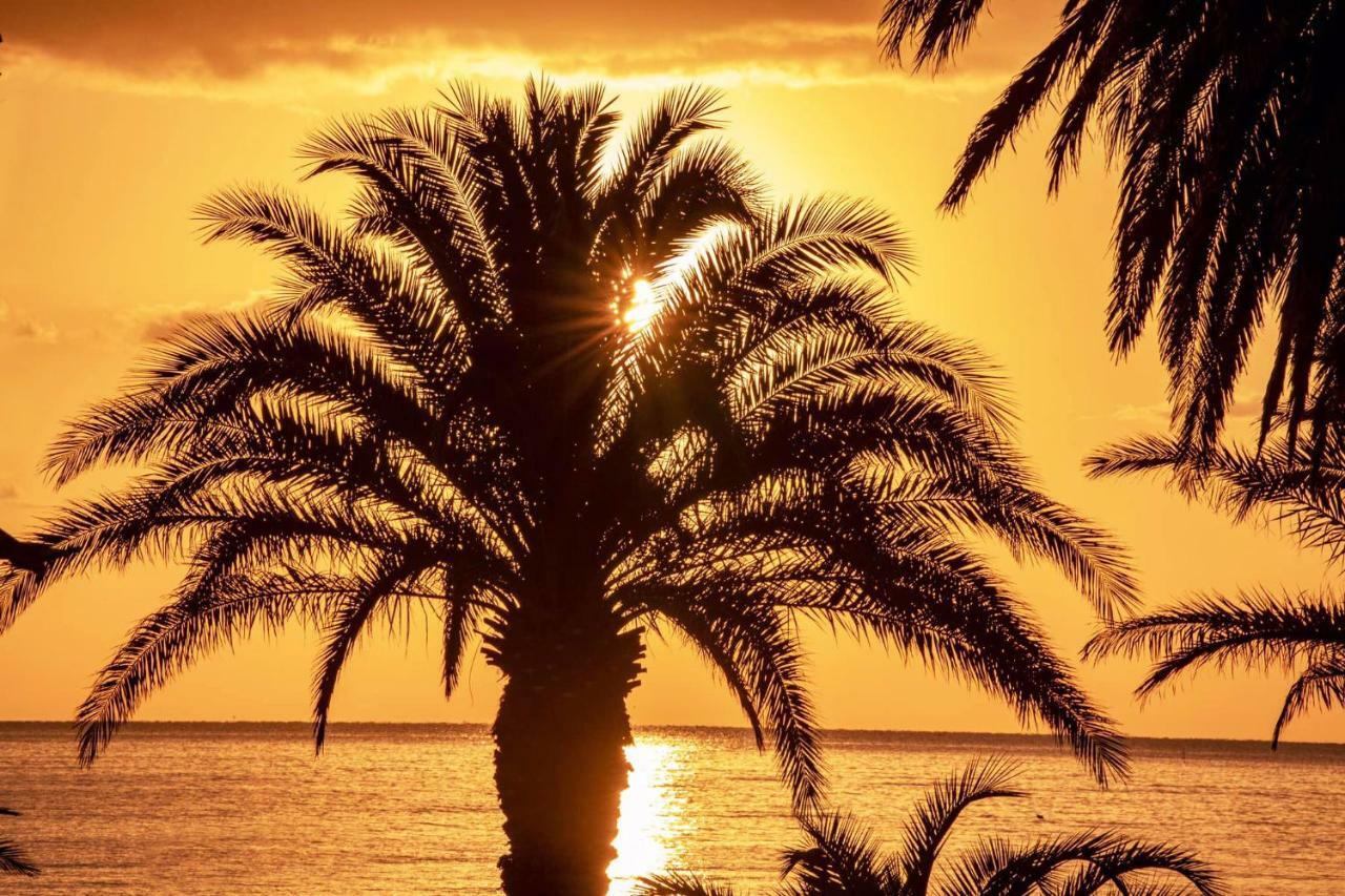 Mare D'Amare Bed & Breakfast San Benedetto del Tronto Eksteriør bilde